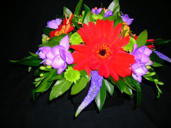 red gerbera with purple and green accents